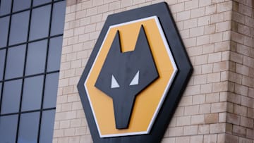 Wolverhampton Wanderers FC v Manchester City FC - Premier League
