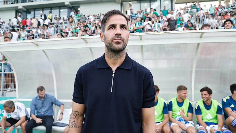 Cesc Fàbregas