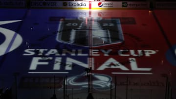The Colorado Avalanche could be poised to make a long playoff run this upcoming season.