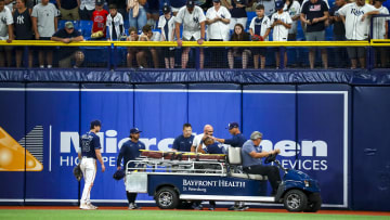 Manuel Margot se dio un fuerte golpe contra el muro