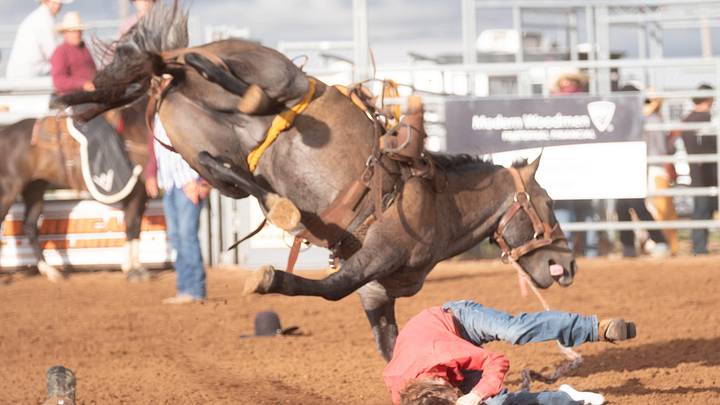 Mare Dies in Freak Accident at the Gilroy Rodeo in California
