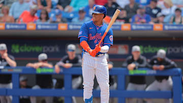 Mar 24, 2025; Port St. Lucie, Florida, USA; New York Mets right fielder Juan Soto (22) looks on during his at bat against the New York Yankees during the first inning at Clover Park. Mandatory Credit: Sam Navarro-Imagn Images