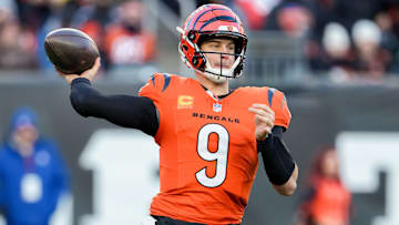 Pittsburgh Steelers v Cincinnati Bengals
