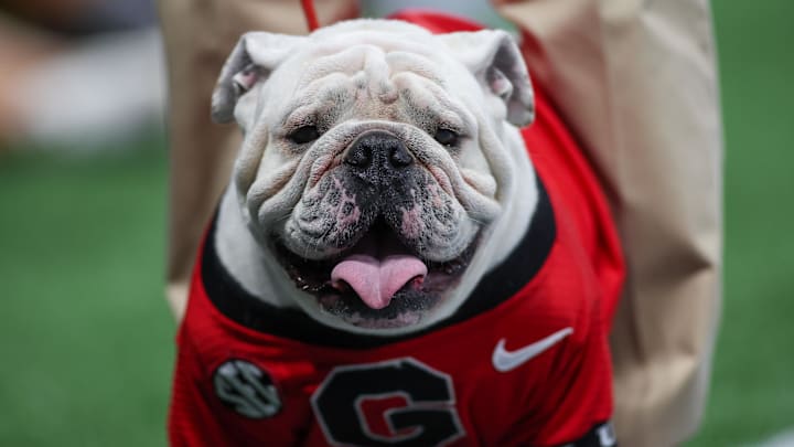 Aug 31, 2024; Atlanta, Georgia, USA; Georgia Bulldogs mascot Uga XI on the field against the Clemson Tigers in the first quarter at Mercedes-Benz Stadium. Mandatory Credit: Brett Davis-Imagn Images
