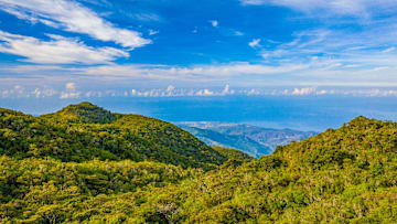 Jamaica's Blue Mountains