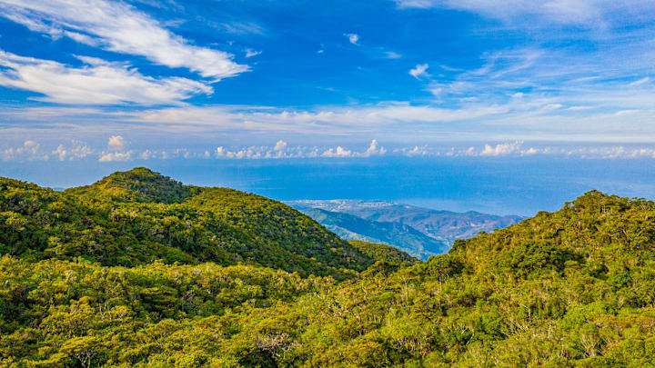 Jamaica's Blue Mountains Jamaica's Blue Mountains