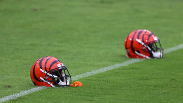 Cincinnati Bengals v Baltimore Ravens