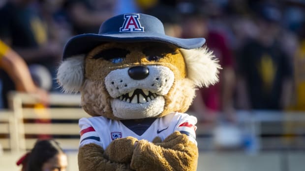  Arizona Wildcats mascot Wilbur