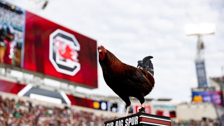 Dec 30, 2022; Jacksonville, FL, USA; South Carolina Gamecocks mascot Sir Big Spur looks on before the game against the Notre Dame Fighting Irish in the 2022 Gator Bowl at TIAA Bank Field. Mandatory Credit: Matt Pendleton-USA TODAY Sports