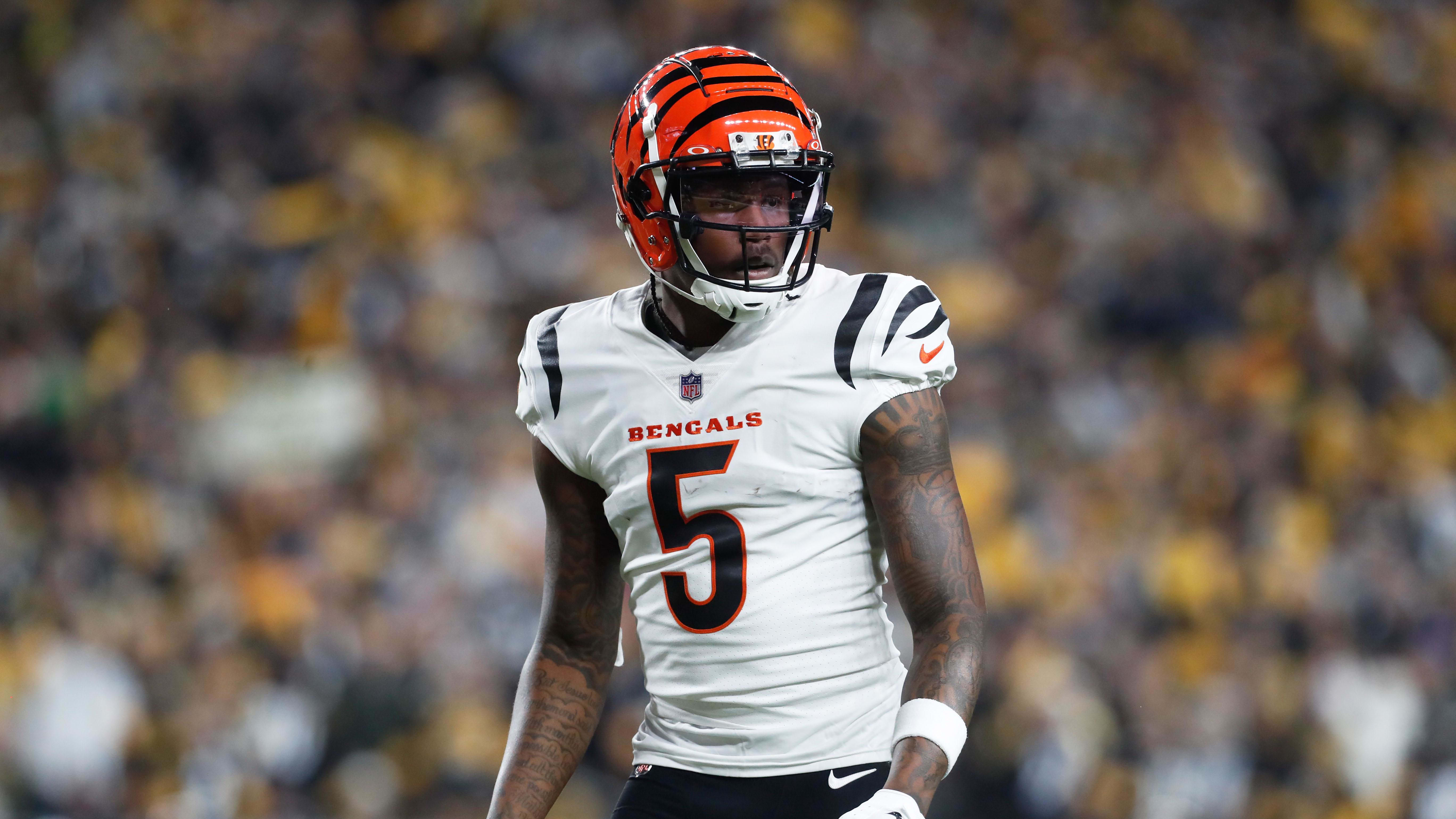 Dec 23, 2023; Pittsburgh, Pennsylvania, USA;  Cincinnati Bengals wide receiver Tee Higgins (5) at