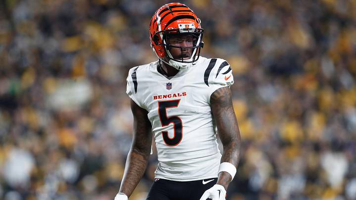 Dec 23, 2023; Pittsburgh, Pennsylvania, USA;  Cincinnati Bengals wide receiver Tee Higgins (5) at