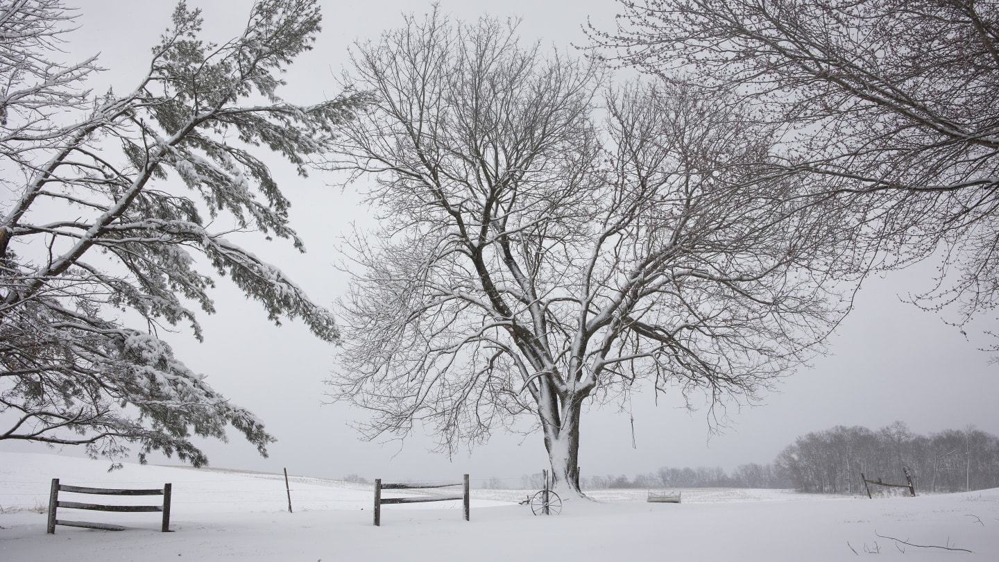 Radar Image of Giant Buffalo Snowstorm Looks Like Buffalo Bills