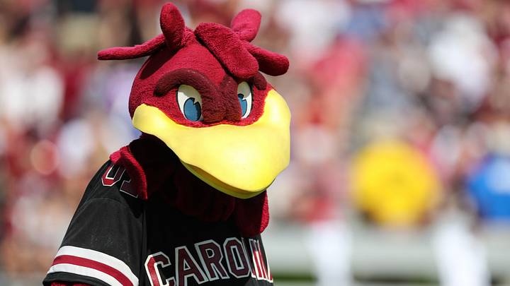 Sep 23, 2017; Columbia, SC, USA; South Carolina Gamecocks mascot Cocky during the first quarter against the Louisiana Tech Bulldogs at Williams-Brice Stadium. Mandatory Credit: Jim Dedmon-Imagn Images