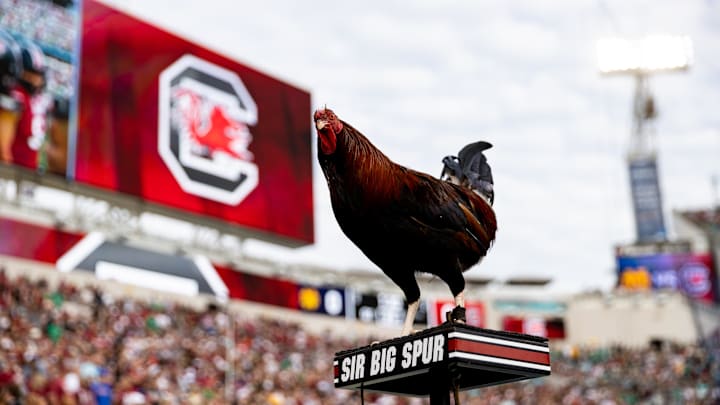 Dec 30, 2022; Jacksonville, FL, USA; South Carolina Gamecocks mascot Sir Big Spur looks on before the game against the Notre Dame Fighting Irish in the 2022 Gator Bowl at TIAA Bank Field. Mandatory Credit: Matt Pendleton-Imagn Images