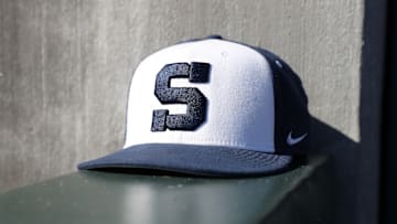 Wagner v Penn State