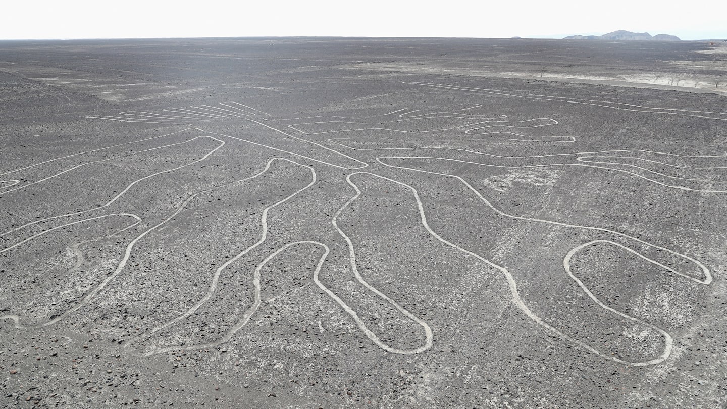 AI 解开纳斯卡线条的秘密:发现了 303 个新的地理符号