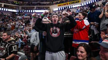 Hershey Bears