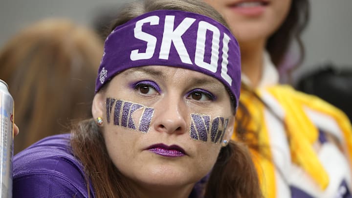 Minnesota Vikings fan