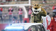 Nov 9, 2024; Pullman, Washington, USA; Washington State Cougars mascot Butch rides out before a game against the Utah State Aggies at Gesa Field at Martin Stadium. Mandatory Credit: James Snook-Imagn Images