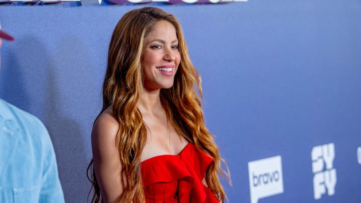 Shakira y Gerard Piqué estuvieron juntos durante 12 años y son padres de dos niños