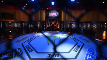The UFC Octagon inside the APEX