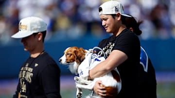 Los Angeles Dodgers World Series Celebration