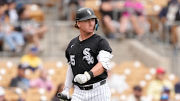 Milwaukee Brewers v Chicago White Sox