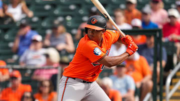 Baltimore Orioles v Minnesota Twins