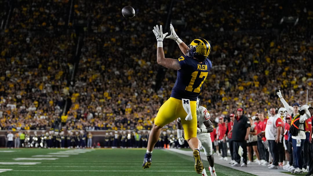 New Mexico v Michigan