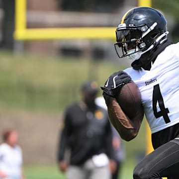 Pittsburgh Steelers wide receiver DK Metcalf is a must-draft player in fantasy football. 