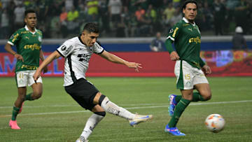 Palmeiras e Botafogo se enfrentam nesta semana no Allianz Parque