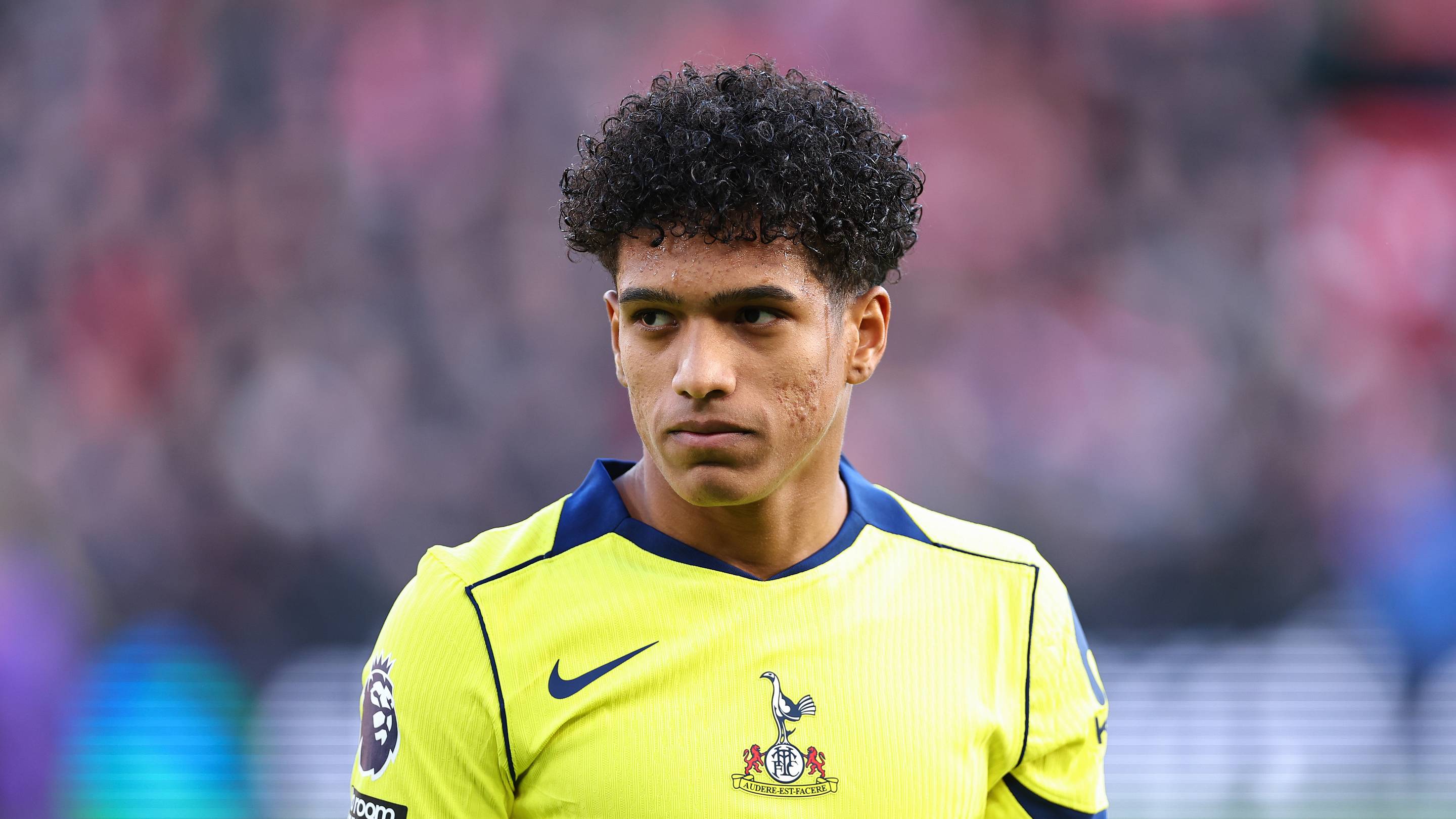 Everyone is wondering the same thing about Souza's role at Tottenham