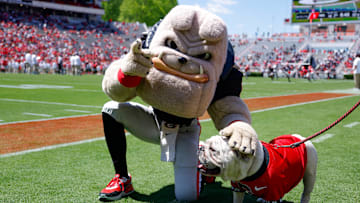 Georgia Spring Game