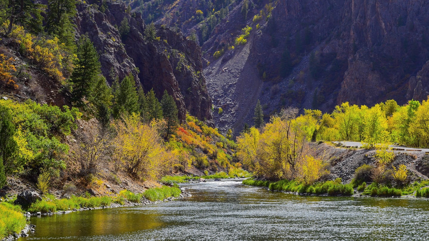 The West’s Best Fly Fishing Isn’t in Montana Anymore