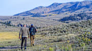 The Lamar Valley in Yellowstone National Park