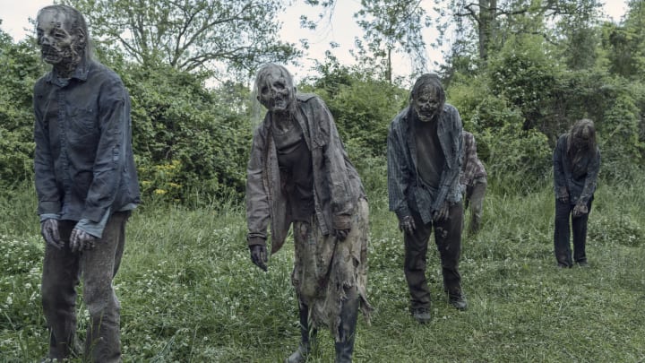 The Walking Dead _ Season 11, Episode 6 - Photo Credit: Josh Stringer/AMC