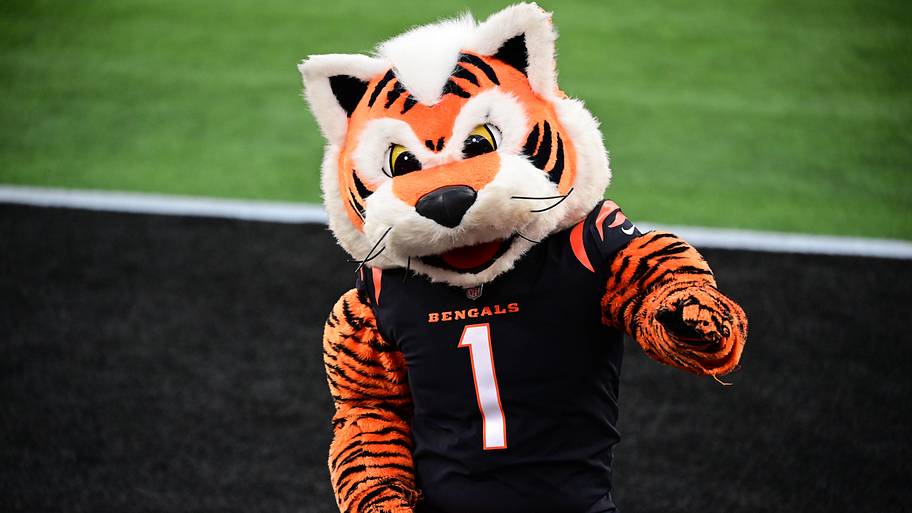 Who Dey, Bengals. 