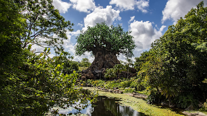 Animal Kingdom Park at Walt Disney World