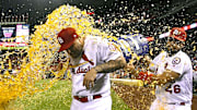 Sep 10, 2018; St. Louis, MO, USA; St. Louis Cardinals first baseman Matt Adams (15) is dunked by Francisco Pena (46) after a come from behind victory over the Pittsburgh Pirates at Busch Stadium. Mandatory Credit: Jeff Curry-Imagn Images