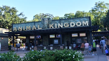 Entry to Animal Kingdom. Photo Credit: Brian Miller