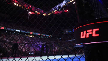 UFC Octagon