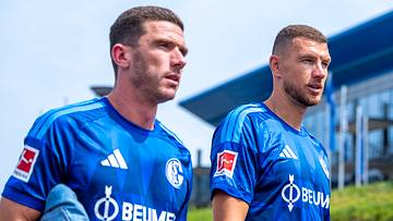 Beim S04 trifft Edin Dzeko auch erneut auf Robin Gosens Beim S04 trifft Edin Dzeko auch erneut auf Robin Gosens