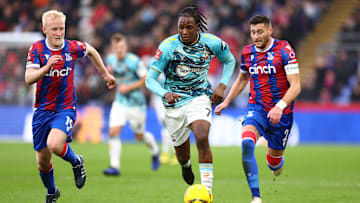 Crystal Palace v Southampton: Emirates FA Cup Third Round