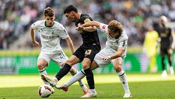 Auf die Fohlen warten heiße Duelle Auf die Fohlen warten heiße Duelle