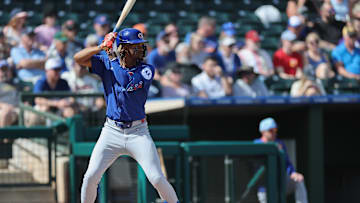 Chicago Cubs v Texas Rangers