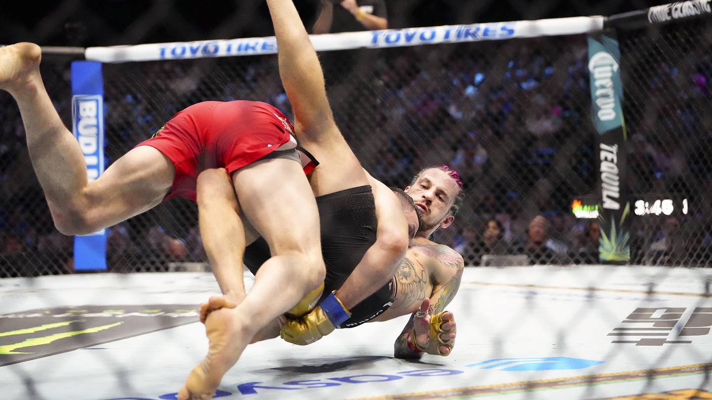 審判員ハーブ・ディーン、UFC 306メインイベントでの反発に反応