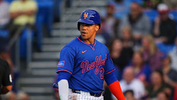 St. Louis Cardinals v New York Mets