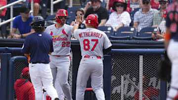 Mar 5, 2025; West Palm Beach, Florida, USA; St. Louis Cardinals left feilder JJ Wetherholt (87) celebrates after scoring against the Houston Astros during the second inning at CACTI Park of the Palm Beaches. Mandatory Credit: Rich Storry-Imagn Images