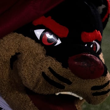 Cincinnati Bearcats mascot hangs out on the field in the fourth quarter of the NCAA football game between the Cincinnati Bearcats and the Houston Cougars TDECU Stadium in Houston, Texas, on Saturday, Nov. 11, 2023.