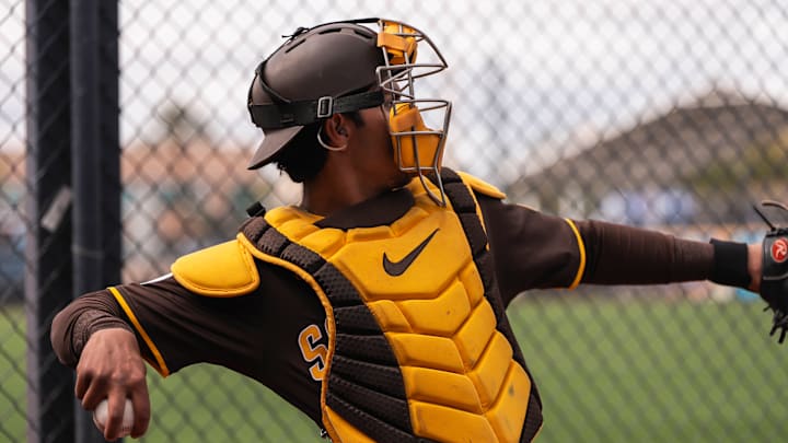2025 MLB Spring Breakout